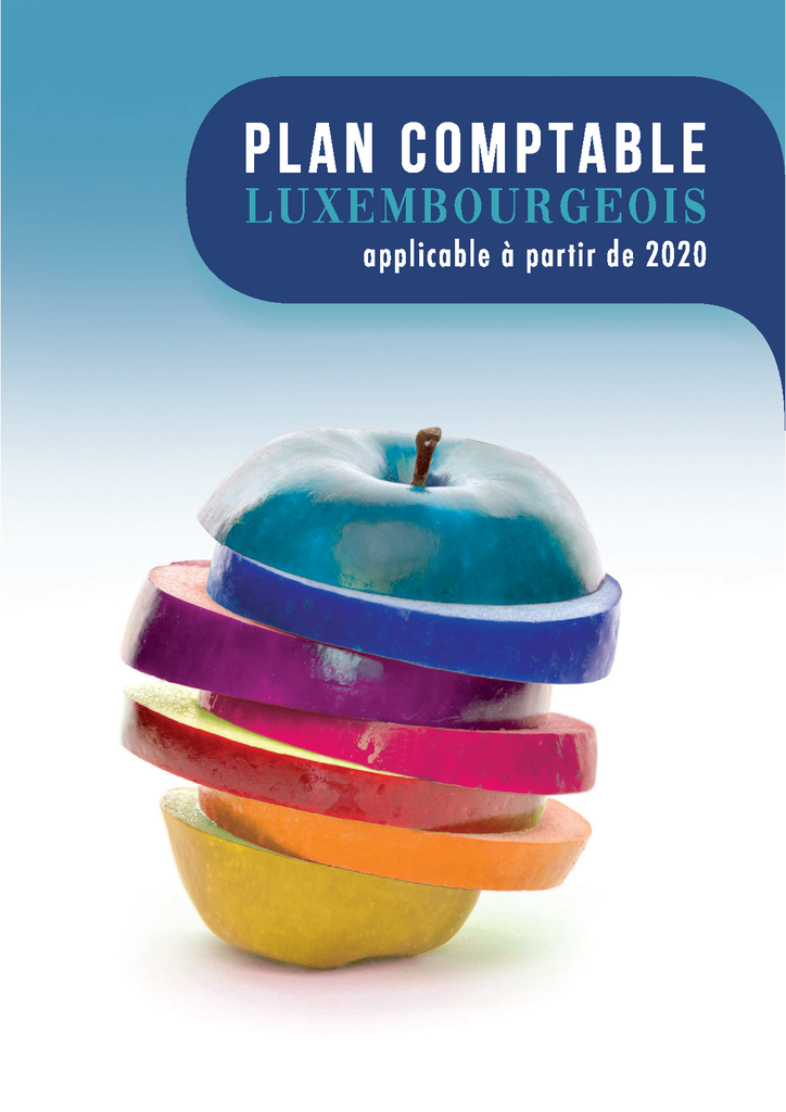 Plan comptable luxembourgeois - 2020