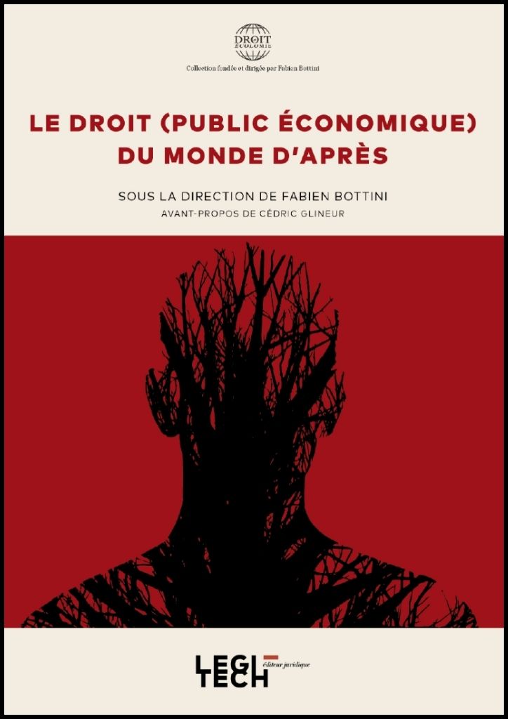 Le droit (public économique) du monde d'après