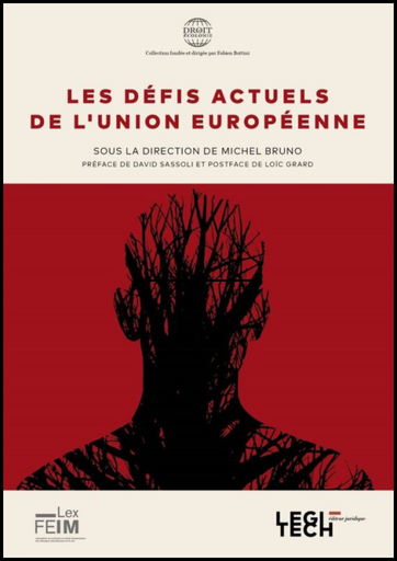 [DÉFACTEUR] Les défis actuels de l'Union européenne