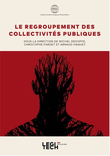 Le regroupement des collectivités publiques