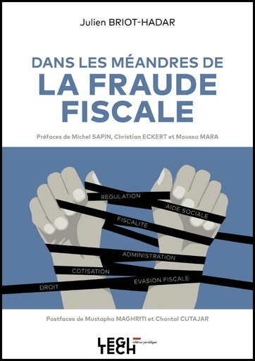 Dans les méandres de la fraude fiscale