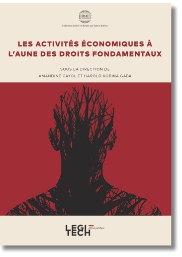 [ACTECODROF] Les activités économiques à l'aune des droits fondamentaux
